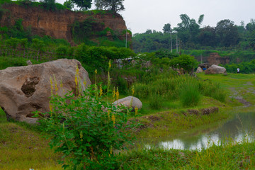 Abandon Sand Mine, change to beautiful landscape