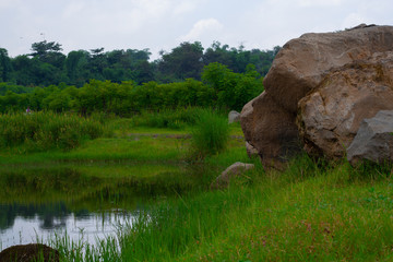 Abandon Sand Mine, change to beautiful landscape