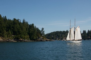 Large sailboat along a green lakeside
