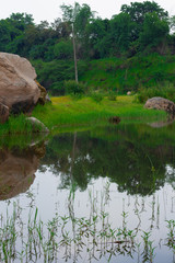 Abandon Sand Mine, change to beautiful landscape