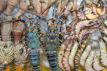 Fresh lobster, shrimps and prawns for sell at the street food market in Kota Kinabalu, Borneo, Malaysia, close up seafood