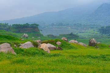 Abandon Sand Mine, change to beautiful landscape