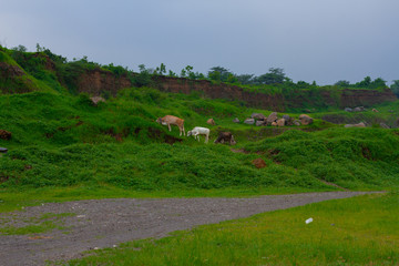 Abandon Sand Mine, change to beautiful landscape