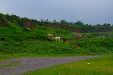 Abandon Sand Mine, change to beautiful landscape
