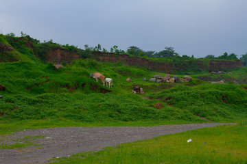 Abandon Sand Mine, change to beautiful landscape