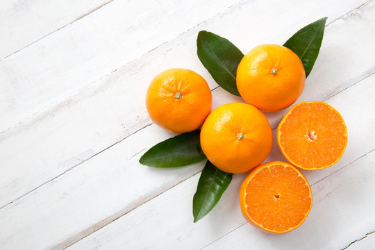 Setka, a new Japanese variety of oranges