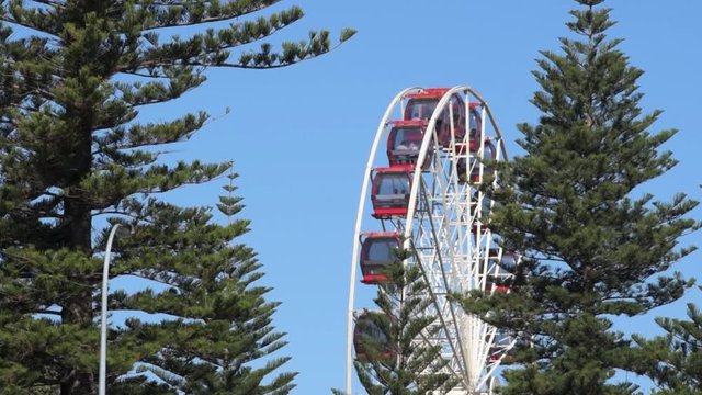 Fremantle ferris wheel