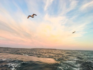 fishing sunset