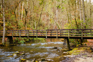 Fototapeta na wymiar bridge in the woods
