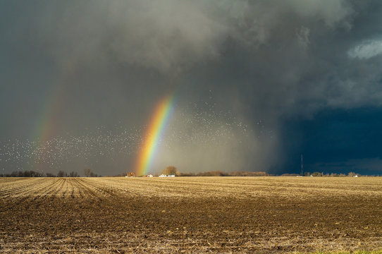 rainbow and storm