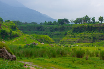 landscape with trees