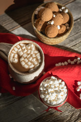 Sunlight and Shadows on Hot Chocolate and Marshmallows