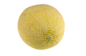 single cantaloupe melon isolated on white background