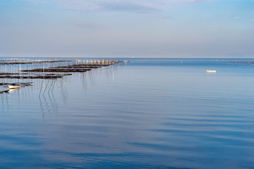 Fototapeta premium Seaweed cultivation area in Ariake sea in Saga prefecture, JAPAN.