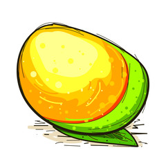 mango fruit vector, isolated image