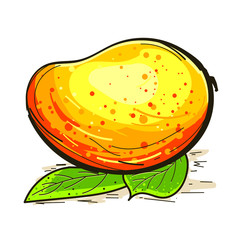 mango fruit vector, isolated image