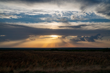 sunset over field