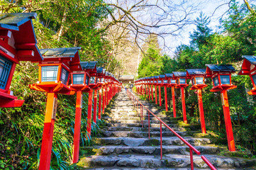 View of Omotesando, Kifune Shrine