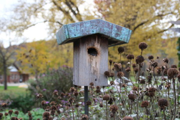 A bird house in a wild garden