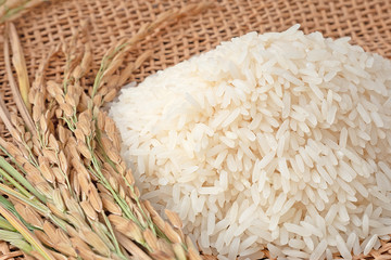 Long grain of rice and rice,White rice (Jasmine rice) thailand