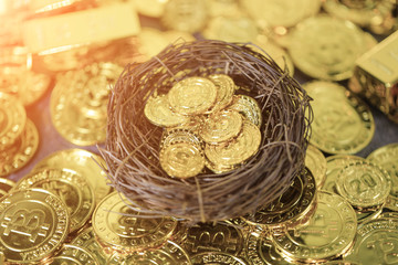 Gold coins in the nest