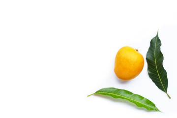 Tropical fruit, Mango  on white background.