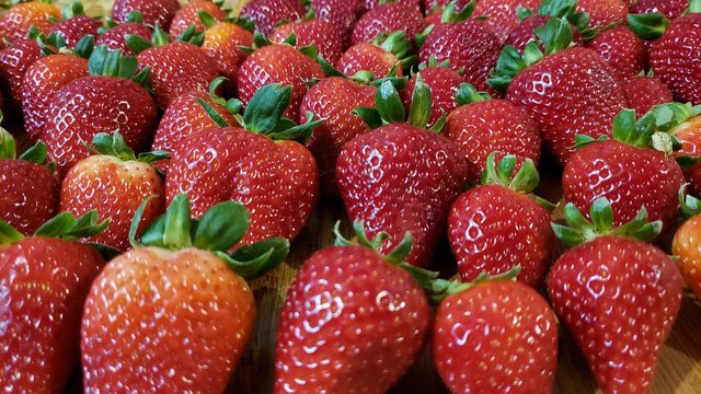 morangos vermelhos