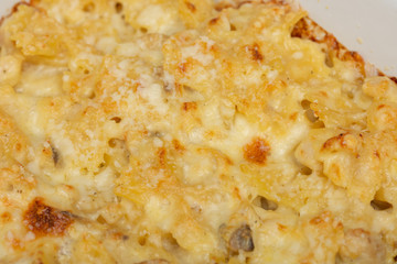 Rigatoni pasta with bolognese sauce and mozzarella baked in the oven 