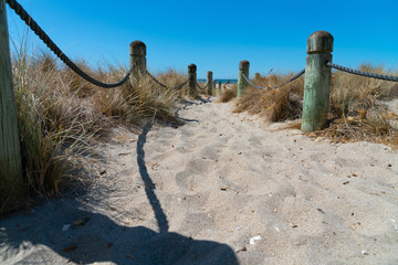 Beach access between rope and bollards across sand path.
