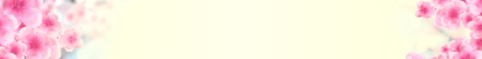 panoramic Japanese Spring Sakura cherry blossoms 728x90 size website leaderboard banner background. 3D Illustration Clip-Art with Floral spring petal design header. copy space in pink, yellow and blue