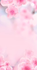 vertical Japanese Spring Sakura cherry blossoms 160x600 size website skyscraper banner background. 3D Illustration Clip-Art floral spring petal design header. copy space in pink, white, blue