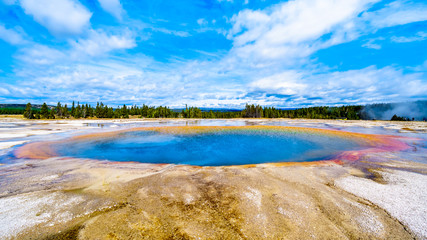 The Turquoise colored water of the Turquoise Pool geyser in Yellowstone National Park, Wyoming, United Sates