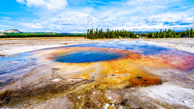 The Turquoise colored water of Opal Pool Geyser in Yellowstone National Park, Wyoming, United Sates
