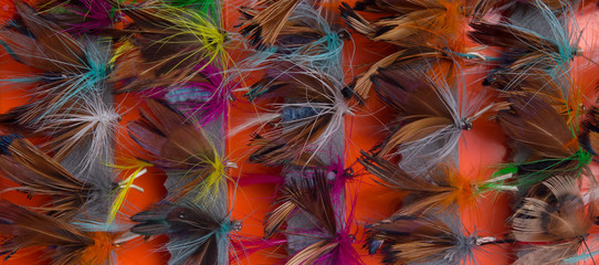 imitation of a set of butterflies and insects, for fishing, close-up © kurgu128