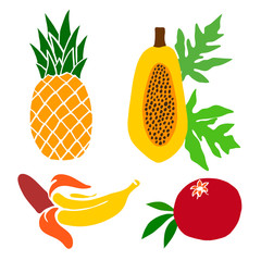 A set of painted fruits. Pineapple, pomegranate and papaya, banana. Vector
