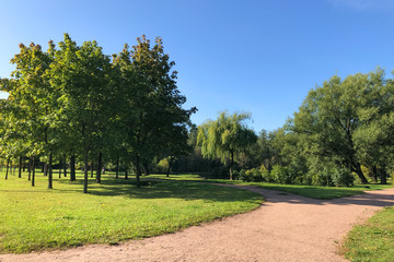 Fototapeta na wymiar View of the beautiful summer park