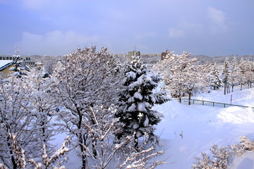 雪の積もった札幌の公園の風景