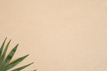 Summer background with green palm leaves. Copy space