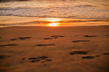 footprints in the sand and sunset light in the surf of the ocean