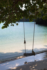 Rope swing on tropical beach tree. Summer holiday.