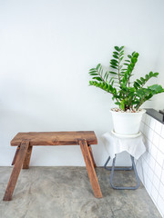 White cafe decoration minimal style. Green leaves in white pot and wooden bench on white wall background.