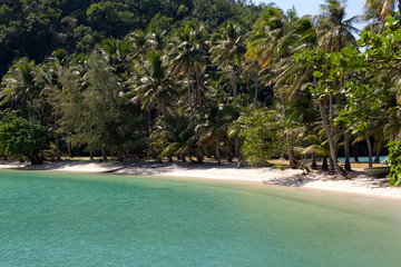 Tropical island beach with coconut palm trees. Sand spit in the sea.