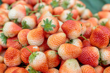 Many fresh strawberry in the market