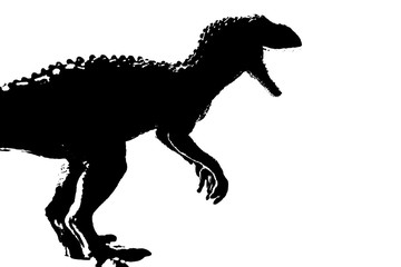 Fototapeta na wymiar silhouette image black giganotosaurus dinosaur monster in cretaceous period on white background