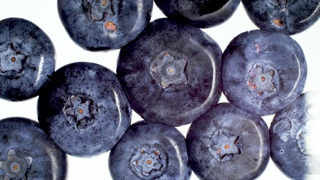 4k macro video of crushing and squeezing lots of blueberries on white background. Perfect abstract backdrop for organic food and healthy nutrition. Closeup of berries