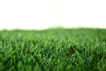 empty green grass turf floor artificial with white background