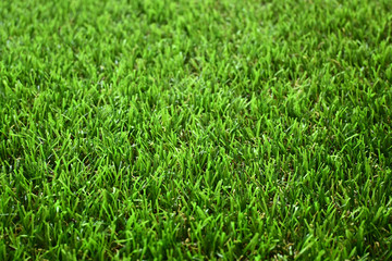 green grass turf floor artificial