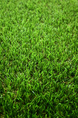 green grass turf floor artificial