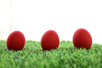 red easter egg on lawn green grass artificial with blank white background