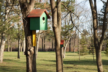 Picture of bird feeders in the park.